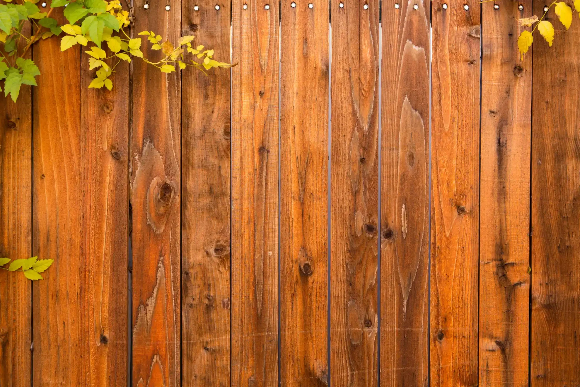 fence (12) 1