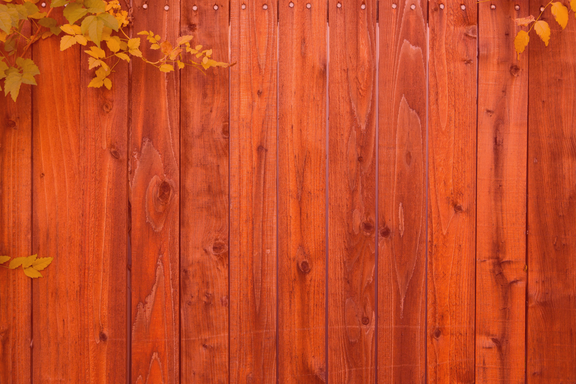 fence (12) 2
