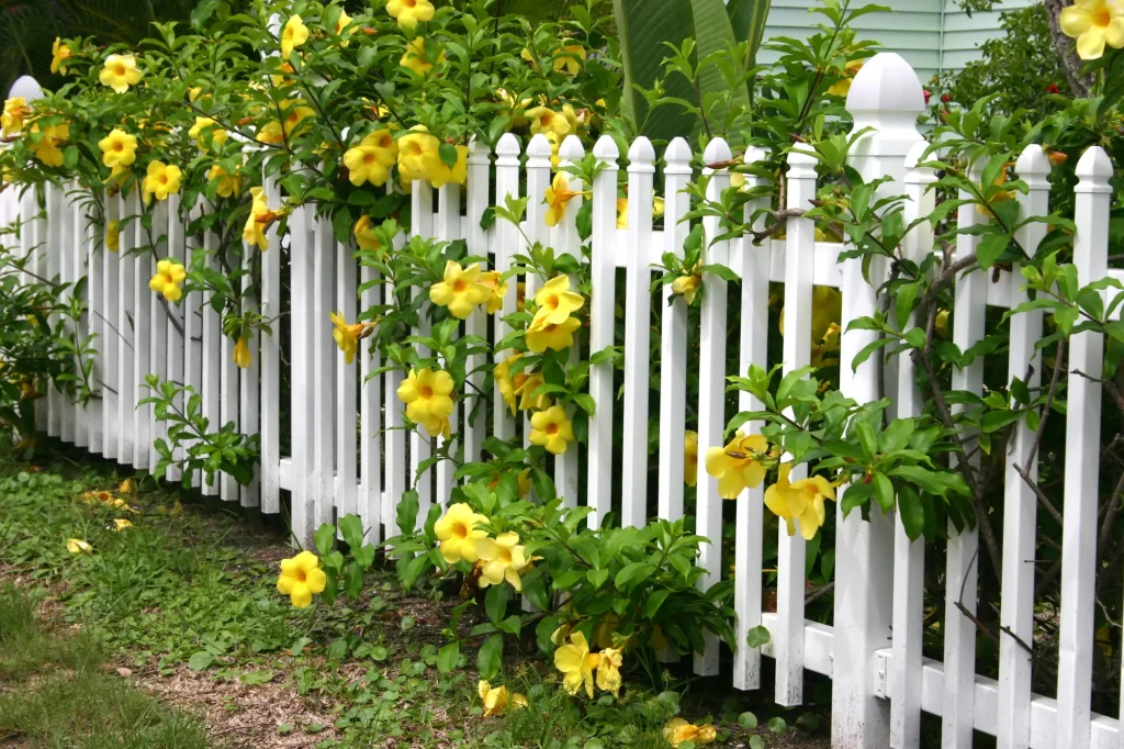 fence (3) 1